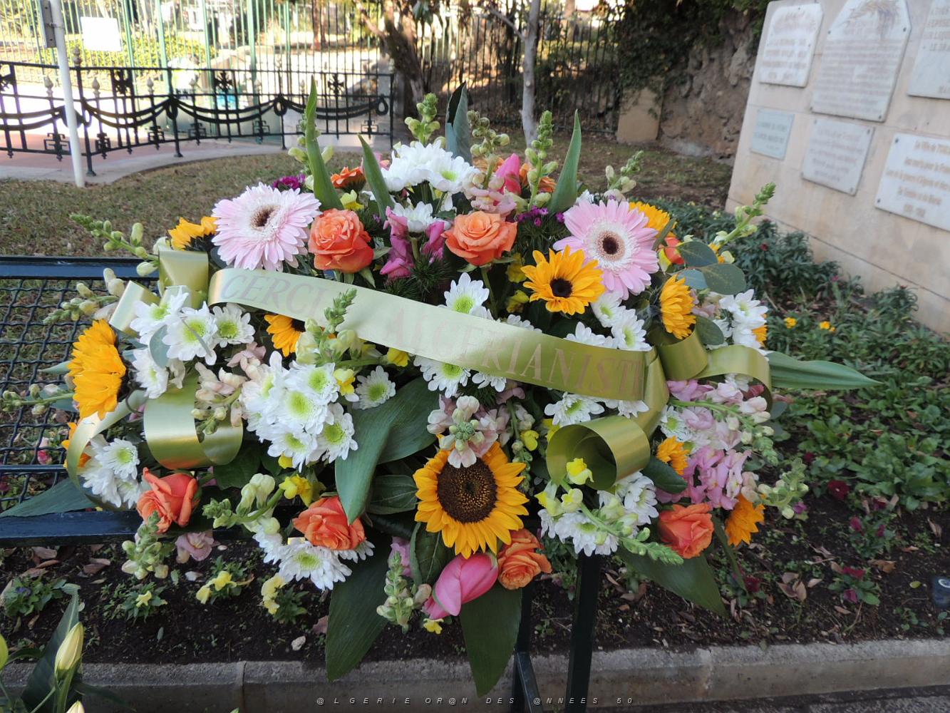 2017 12 05 TOULON HOMMAGE NATIONAL AUX MORTS POUR LA FRANCE EN AFN (4).JPG -           